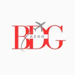 BDG AERO SERVICES