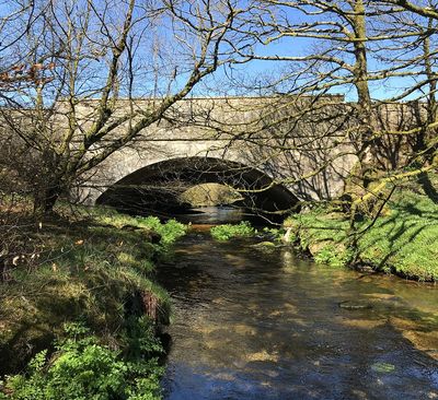 Palmers Bridge over the River Fowey