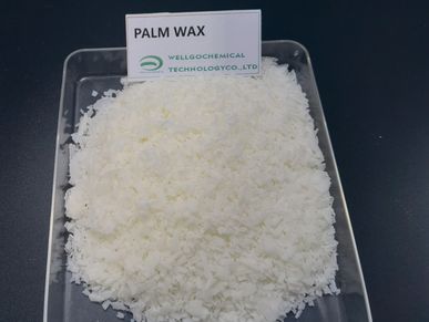 palm wax,plant wax,vegetable wax,candle wax,Plant Based Wax