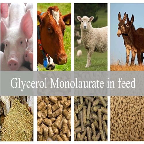 monolaurin as preservative,Emulsifiers,Antibacterial agents