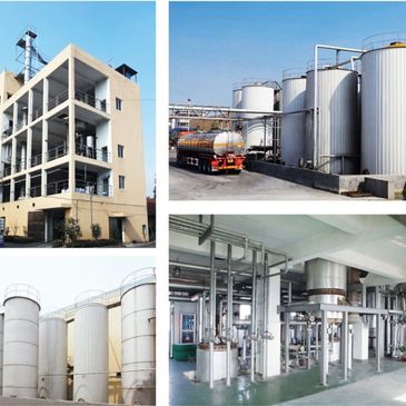 glycerol monostearate manufacture,wellgo chemical technolog,monoglyceride production,