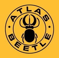Atlas Beetle
 Technology Solutions for your Business