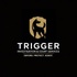 triggercourtservices.com