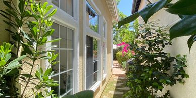 Narrow garden path between two houses with lush green plants.