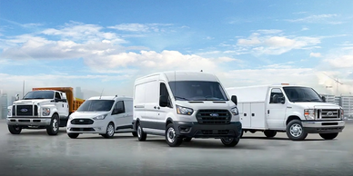 A lineup of white Ford commercial vehicles under a blue sky.