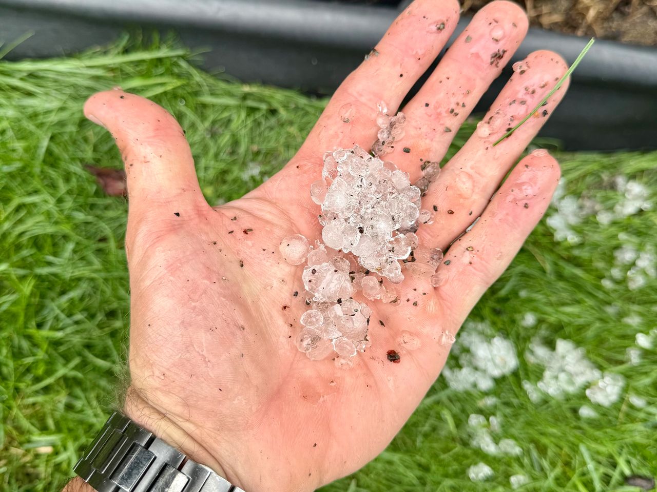 Hail accumulation in Woodbury, MN after September 21, 2025 storm