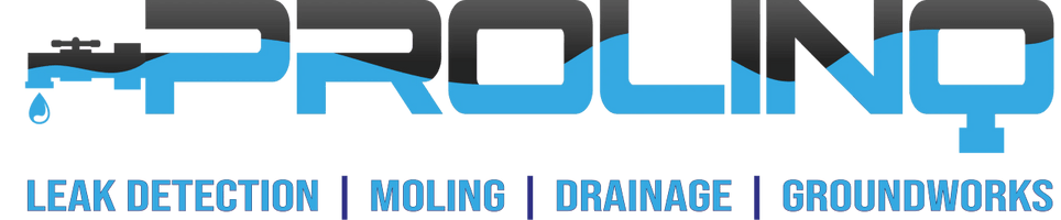 Prolinq ltd