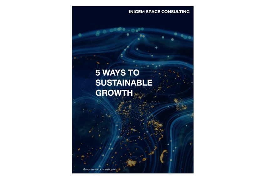 5 Ways to Sustainable Growth free downloadable guide