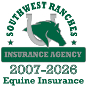 Insurance Agency 