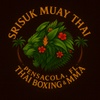 Muay Thai in pensacola, florida