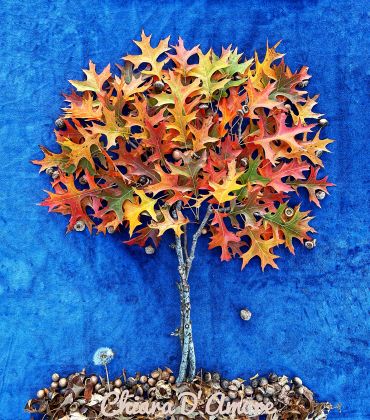 An Oak Fall