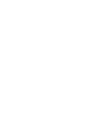 WING WOMAN PLUS
