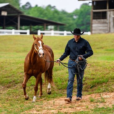 Man in cowboy hat walking a horse on a farm.