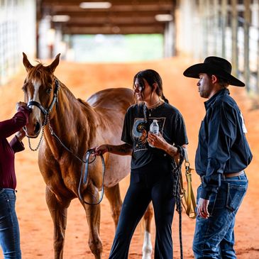 People and a horse inside a stable with sandy floor.