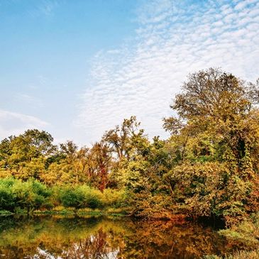 Purcell Lake in the fall