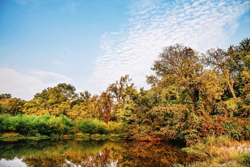 Fall at Purcell Lake