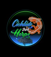 Cichlids and Herps