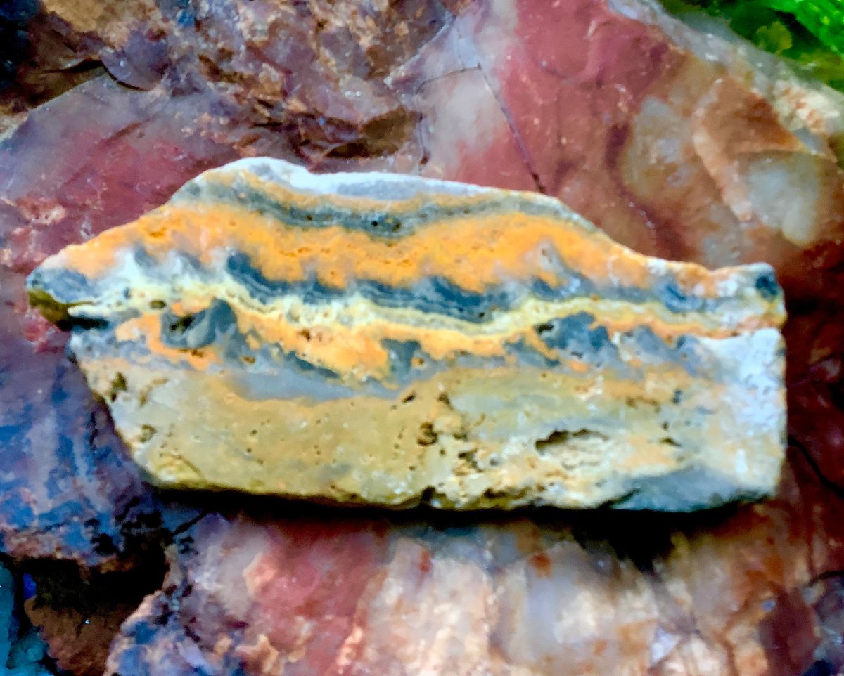 Bumble Bee Jasper Slab 5" unpolished