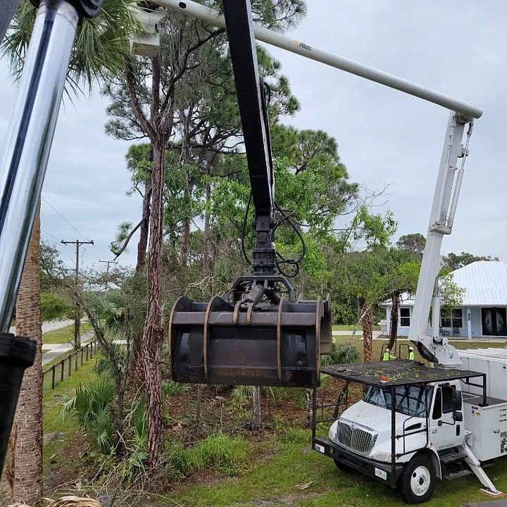 Top Junk Hauling Services in Your Area