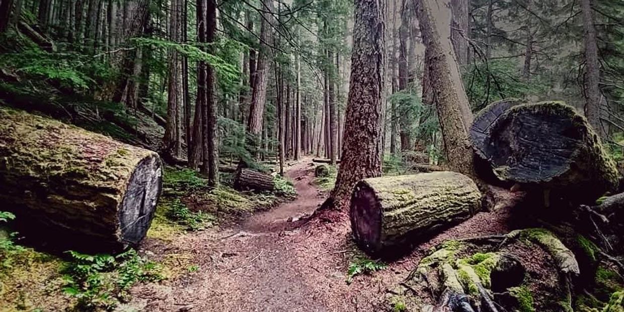 Photo by Lance McCoy