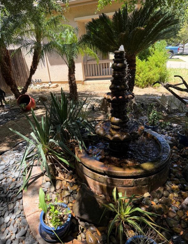 A backyard garden with a stone fountain and various plants in pots and soil.