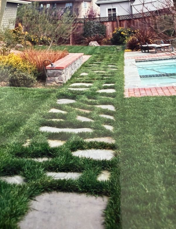 Stone pathway with grass growing between slabs in a backyard.