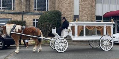 Horse Drawn Carriages & Hearse of Texas LLC - Transportation