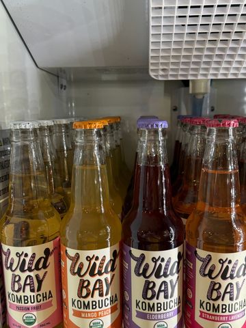 Organic Kombucha