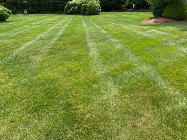 lawn care, landscaping, grass mowing, mowing, cutting grass, mulching, trimming, milford ma