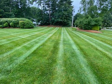 lawn care, landscaping, grass mowing, mowing, cutting grass, mulching, trimming, milford ma