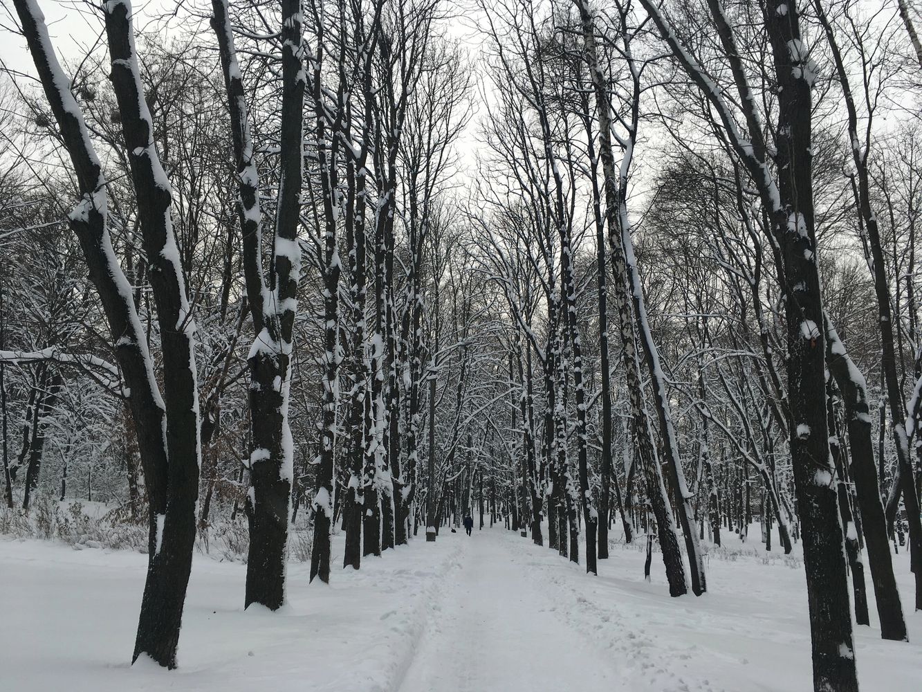 Customized intelligence services in executive consulting is not necessarily a direct and easy path.