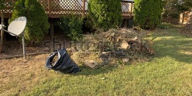 Yard waste removal, debris removal, leaf litter disposal, dirt removal, weed pile removal, fall tree