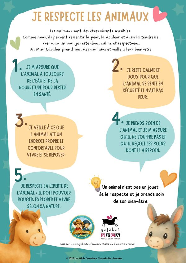 Affiche éducative sur le respect et le soin des animaux.