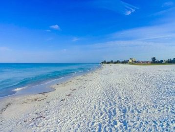 America's #1 Beach,
Siesta Key Beach
Beach Wedding
Siesta K
Destination Wedding
Florida
Beach
Weddin 
