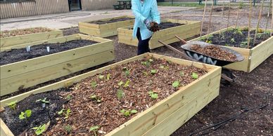 Person spreading mulch on raised garden beds in a community garden.