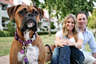 Photo of a couple with their dog, a boxer, sitting on a bench.