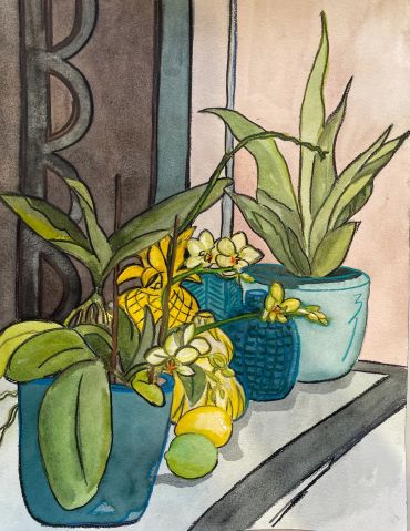 Potted plants with yellow flowers and fruits on a windowsill.
