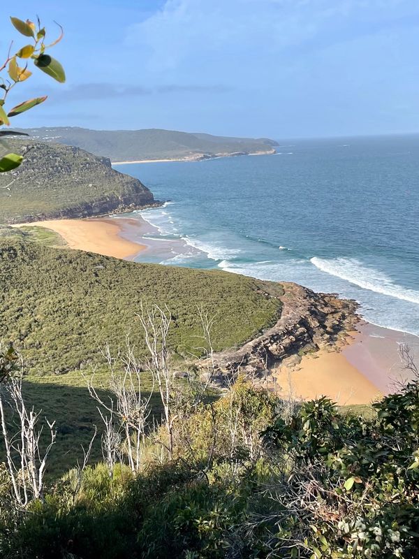 photo of the Bouddi National Park coastline