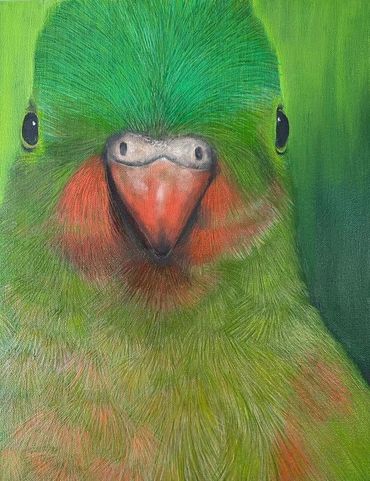 painting of a parrot