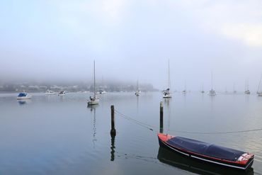 photo of moored boats