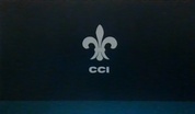 Cocodrie Consulting, Inc.
