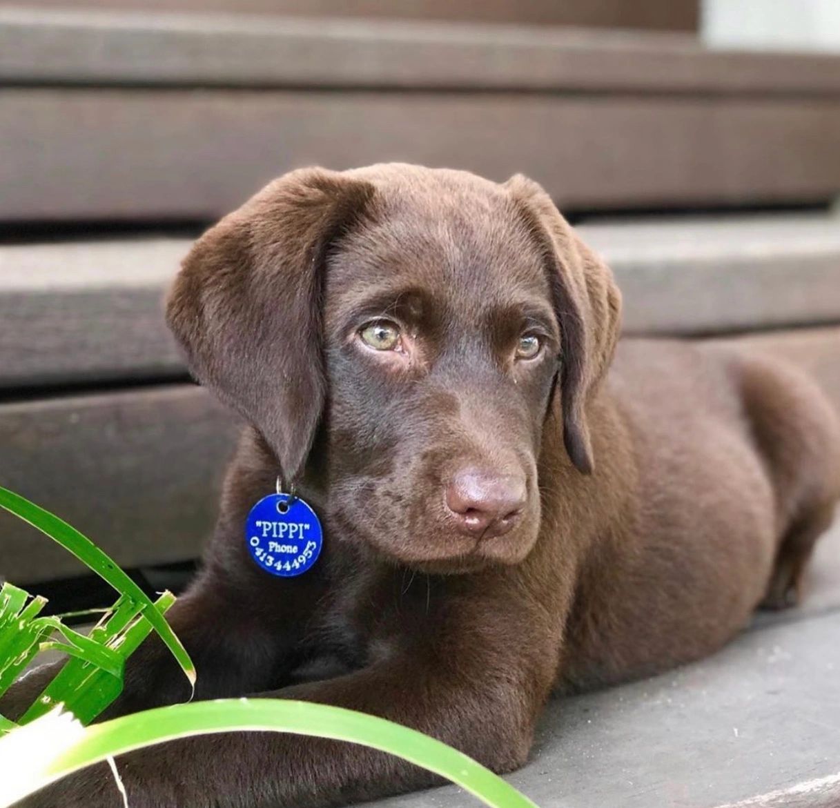 All Quiet At Ndoto Enjoying Isolation