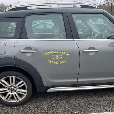 Gray SUV with yellow text advertising WildCohasset.org and LBG phone number.