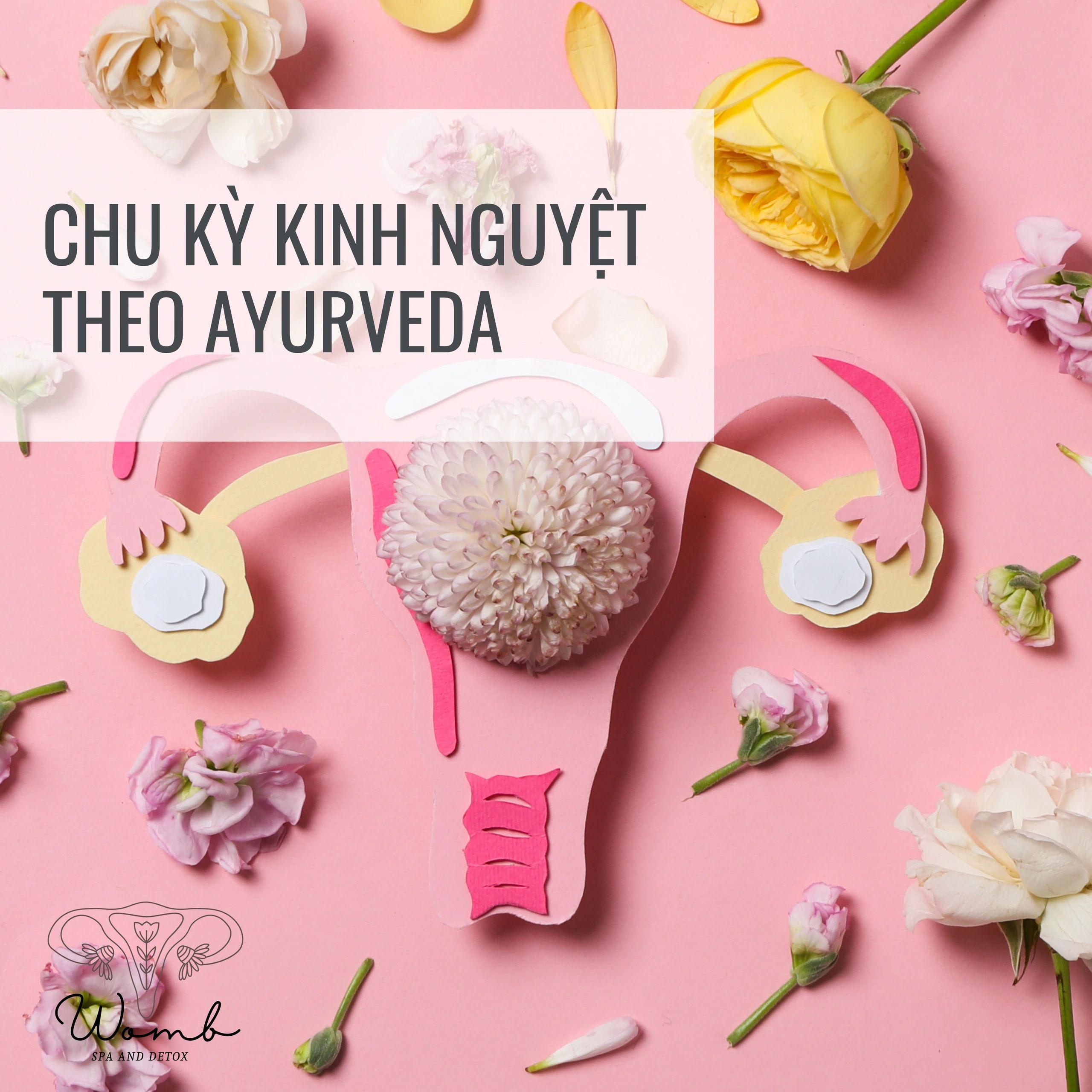 Chu kỳ kinh nguyệt