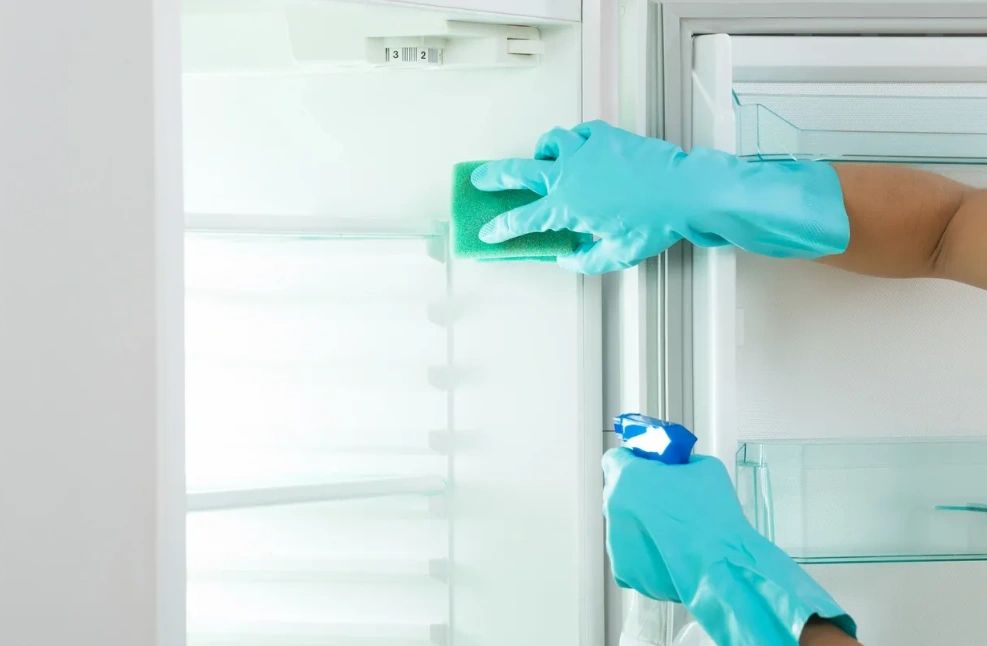 Florida Pros: Eco-friendly refrigerator cleaning in Daytona Beach. Residential / commercial cleaning