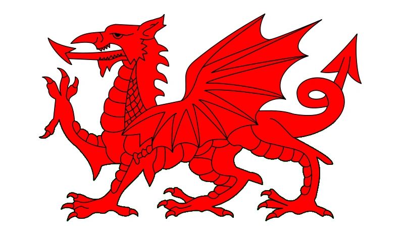 Welsh dragon in all her glory | Pressure wash wales