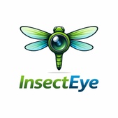 Insect Eye