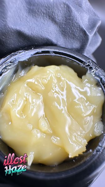 Lemon Cherry Gelato (6★) – Fresh Frozen Hash Rosin THCa — 3.5g