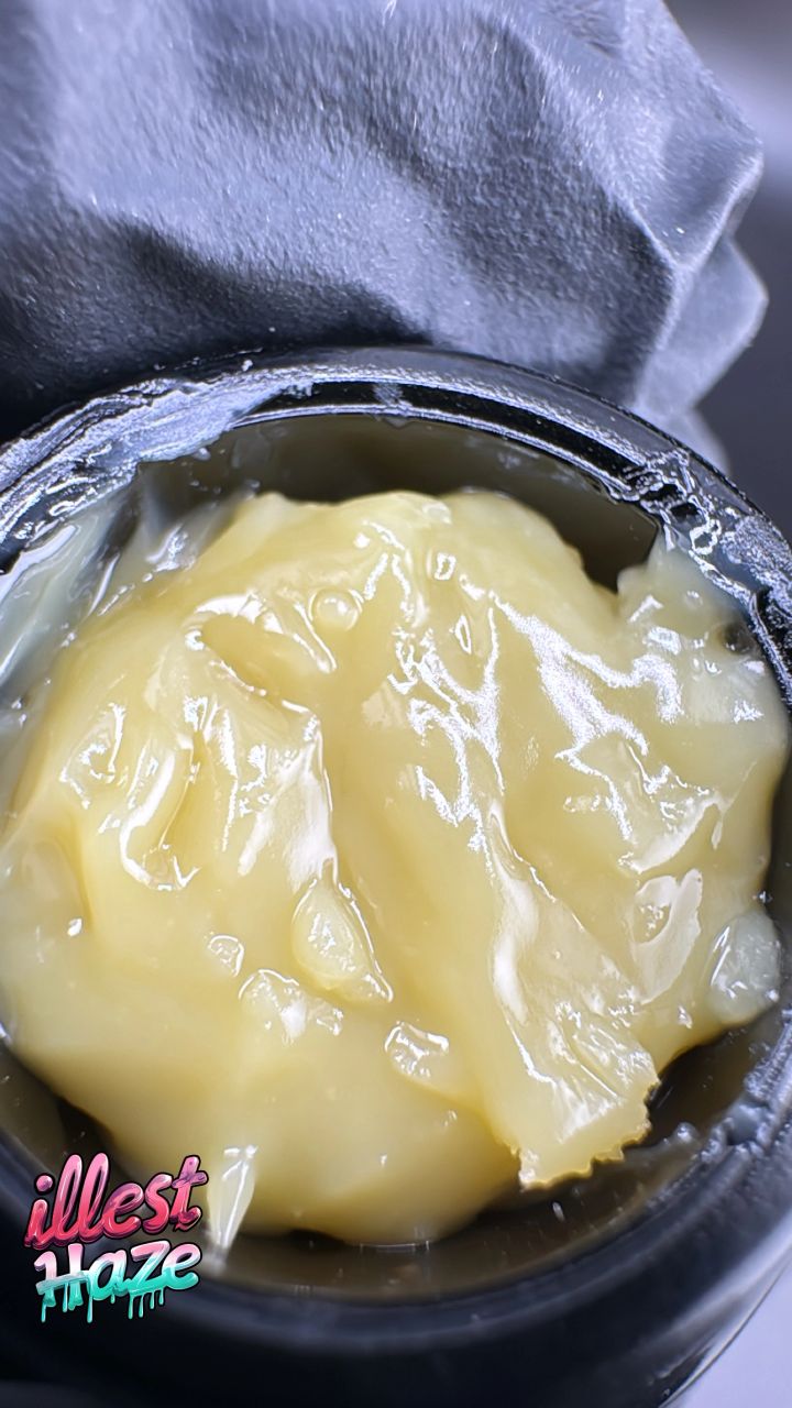 Lemon Cherry Gelato (6★) – Fresh Frozen Hash Rosin THCa