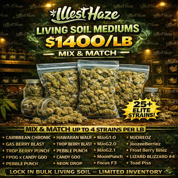 FLASH SALE - LIVING SOIL EXOTIC MEDIUMS β 1lb